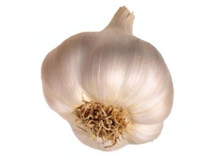 Garlic is powerful against lyme symptoms!