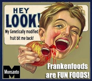 GMO lyme symptoms