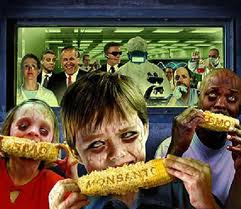GMO lyme disease