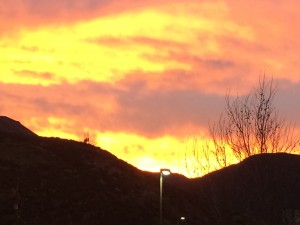 Las Vegas and Lyme Disease