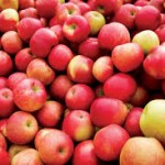 Apples and Lyme Symptoms