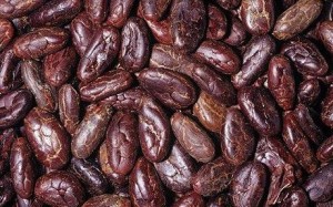 Cacao beans are a super food