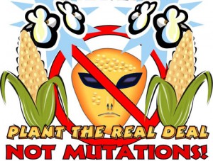 No GMO's with lyme symptoms