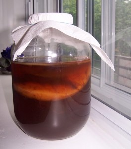 Kombucha and Lyme symptoms