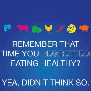 diet and lyme symptoms and lyme disease