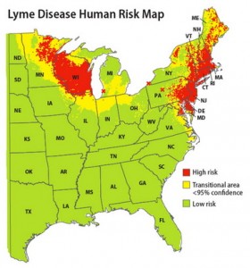 Lyme disease Massachusetts