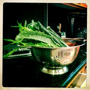 juicing and lyme disease