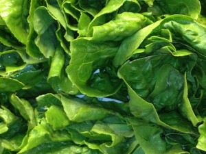 Green juice Lyme disease