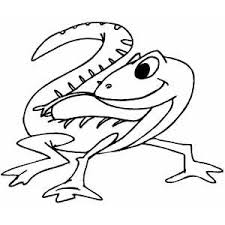 lizard lyme disease lyme symptoms
