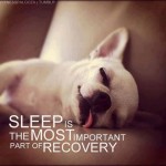 Sleep and Lyme Disease