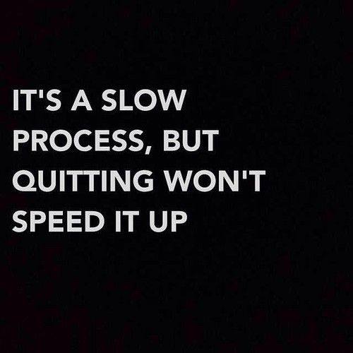 Slow Process and Lyme Disease