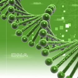 MTHFR and Lyme Symptoms