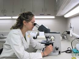 Labs and Lyme Disease
