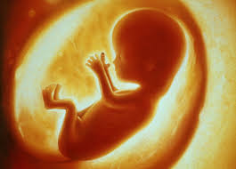 Prenatal Transmission and Lyme Symptoms